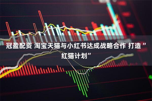 冠盈配资 淘宝天猫与小红书达成战略合作 打造“红猫计划”