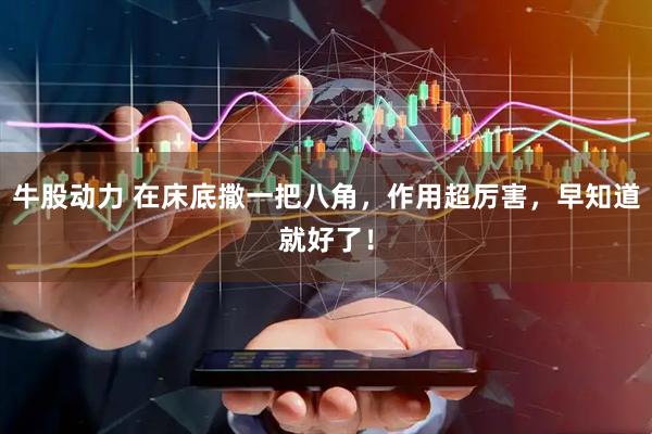 牛股动力 在床底撒一把八角，作用超厉害，早知道就好了！