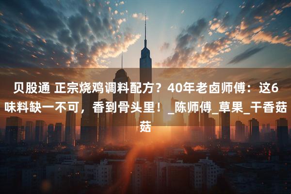 贝股通 正宗烧鸡调料配方？40年老卤师傅：这6味料缺一不可，香到骨头里！_陈师傅_草果_干香菇