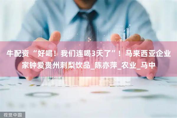 牛配资 “好喝！我们连喝3天了”！马来西亚企业家钟爱贵州刺梨饮品_陈亦萍_农业_马中