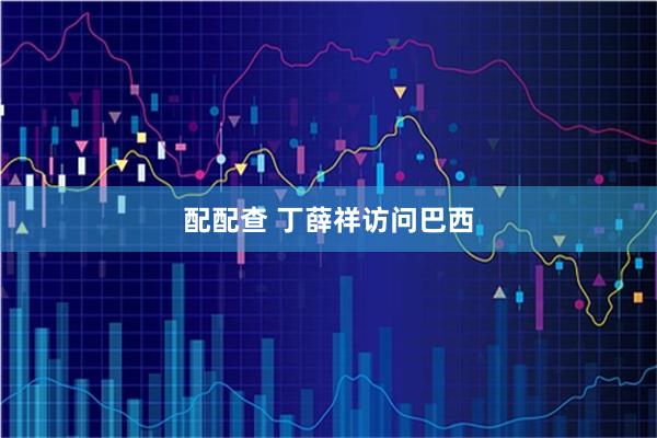 配配查 丁薛祥访问巴西