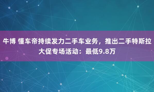牛博 懂车帝持续发力二手车业务，推出二手特斯拉大促专场活动：最低9.8万