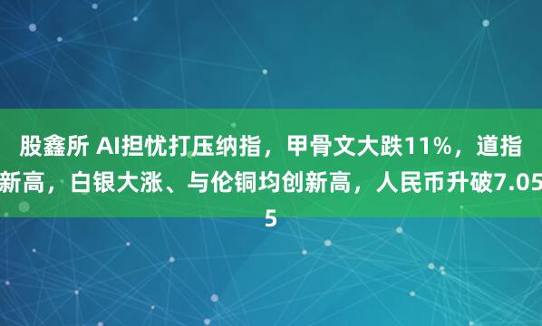 股鑫所 AI担忧打压纳指，甲骨文大跌11%，道指新高，白银大涨、与伦铜均创新高，人民币升破7.05