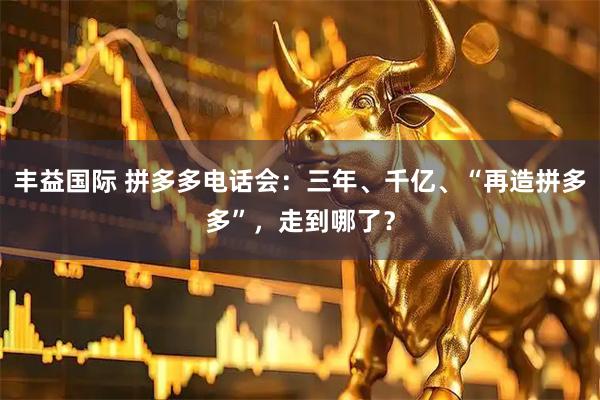 丰益国际 拼多多电话会：三年、千亿、“再造拼多多”，走到哪了？